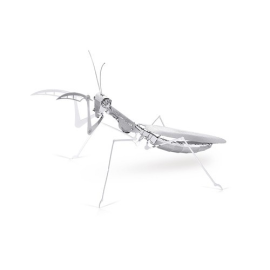 Insectes: MANTE