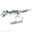 Dinosaures: TYRANNOSAURE REX SQUELETTE