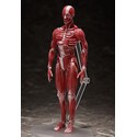Original Character figurine Figma Human Anatomical Model 15 cm