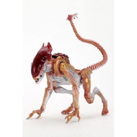 Figurine articulée Aliens figurine Panther Alien (Kenner Tribute) 23 cm