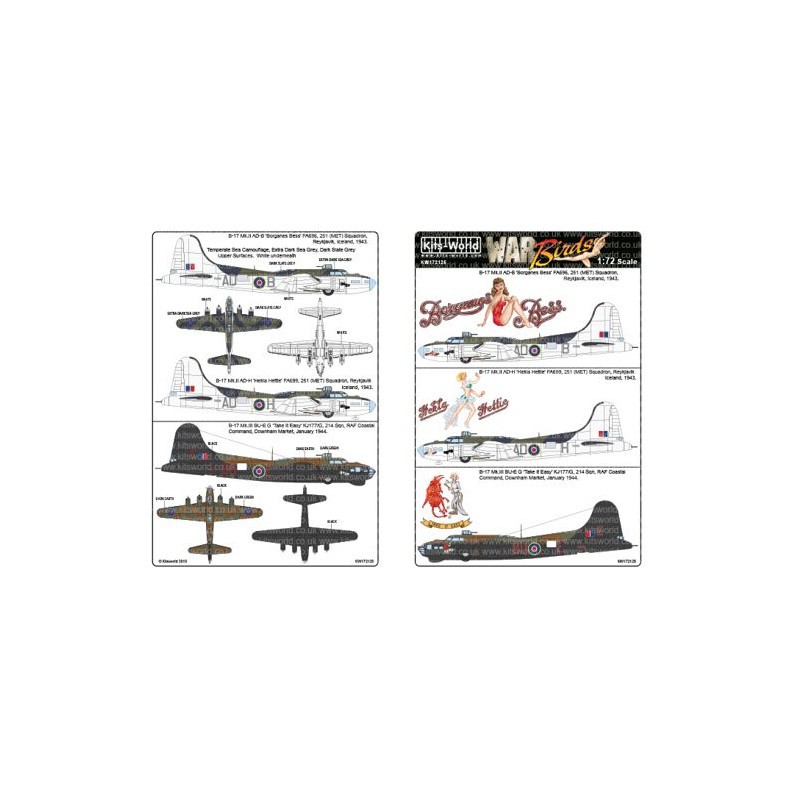 Décal Boeing B-17 Mk.II AD-B 'Borganes Bess' FA696 251 (MET)