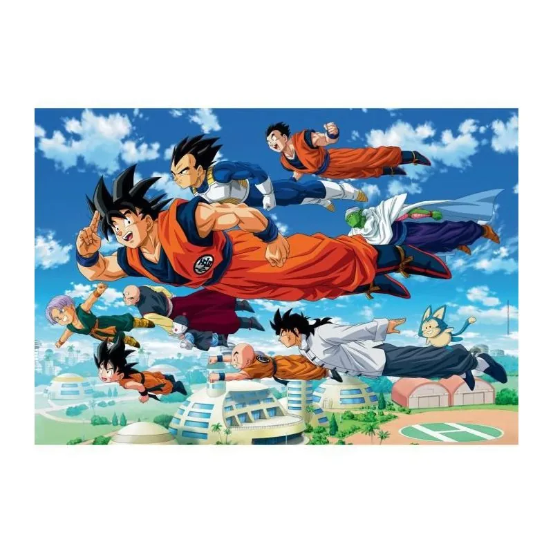 1000 pièces - Dragon Ball