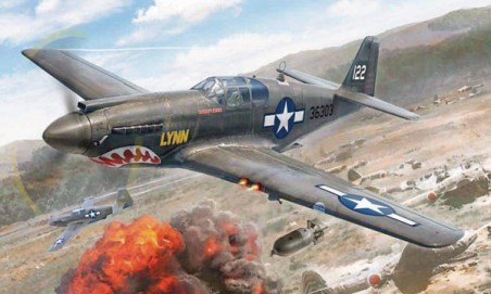 Maquette avion P-51A Mustang