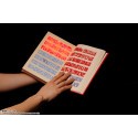 ZATCH BELL LIVRE DE SORT ROUGE PROPLICA ZATCH BELL LIVRE DE SORT ROUGE PROPLICA