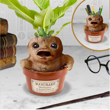  HARRY POTTER - Mandragore - Pot à plantes et à stylos