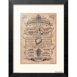 HARRY POTTER - Poudlard Liste Scolaire - Collector Print '30x40cm'