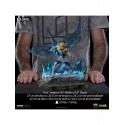 Saint Seiya statuette Deluxe BDS Art Scale 1/10 Cygnus Hyoga 27 cm Saint Seiya statuette Deluxe BDS Art Scale 1/10 Cygnus Hyoga 27 cm
