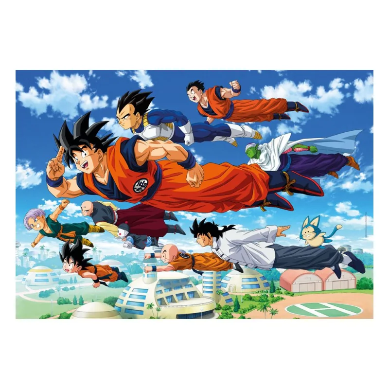 1000 pièces - Dragon Ball
